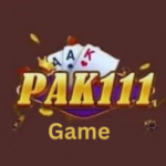 PAK 111 Game